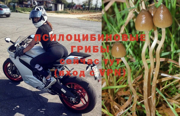 прущий лед Алексеевка