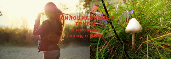 прущий лед Алексеевка