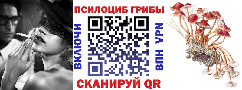 mega tor  Зеленоградск  Псилоцибиновые грибы Cubensis  купить наркотики сайты 