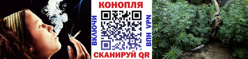 кракен зеркало  Зеленоградск  Бошки Шишки OG Kush 